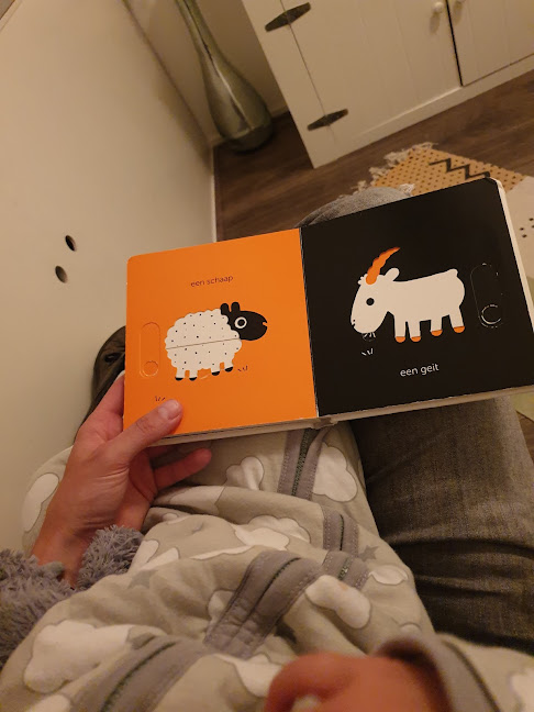 Boekje met illustraties