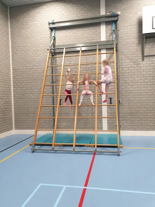 Kinderen op het wandrek in de gymzaal