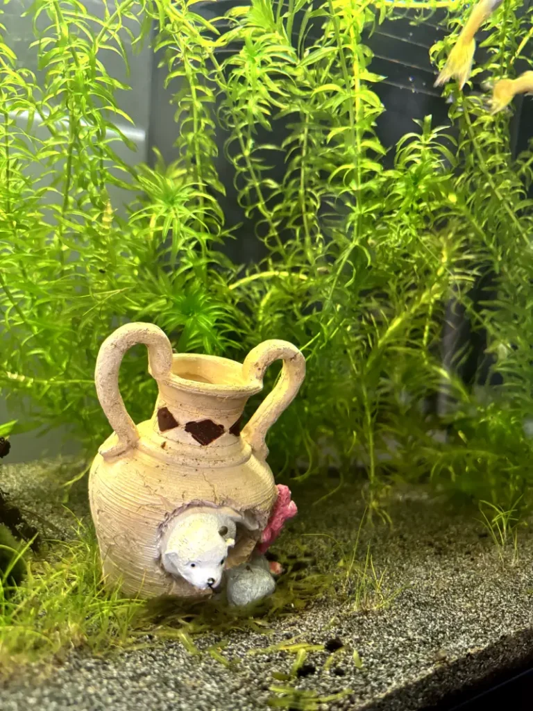 De ijsbeer in de vaas