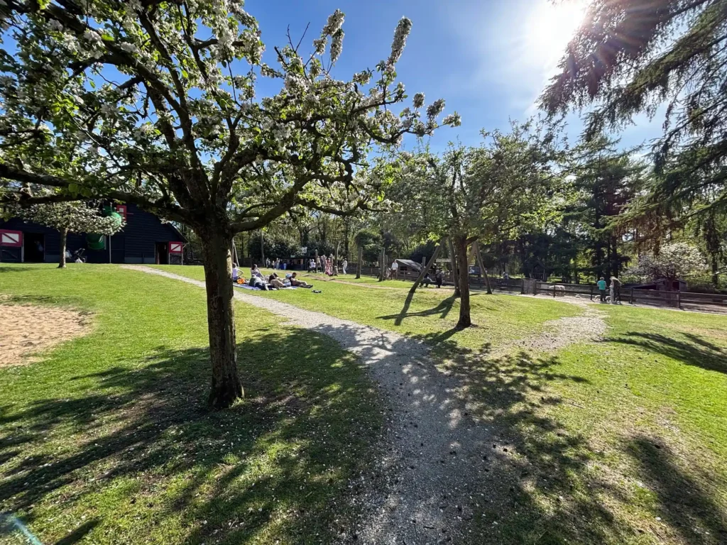 De speelweide in het Uilenbos.